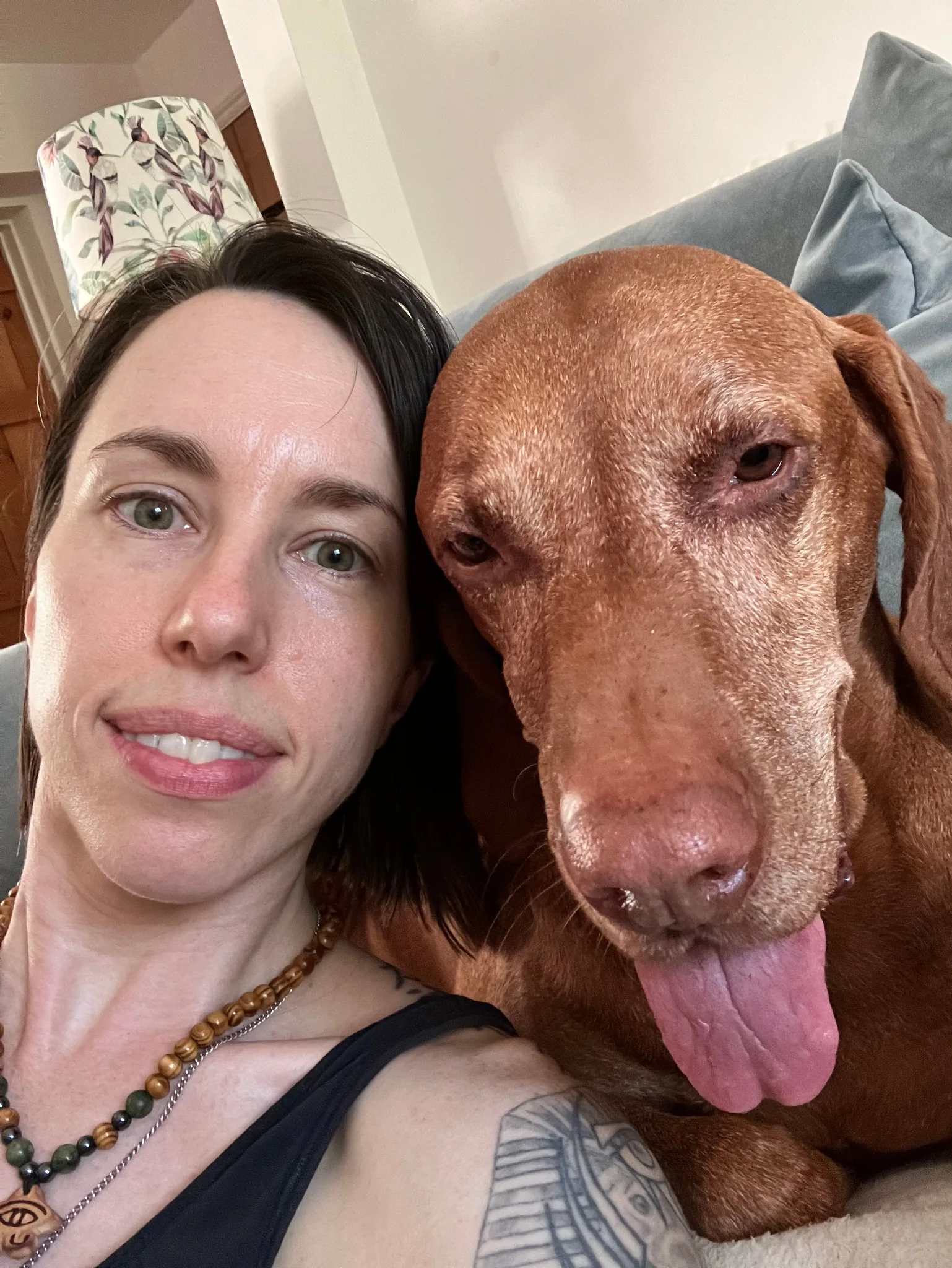 Jo with an older dog during a home visit